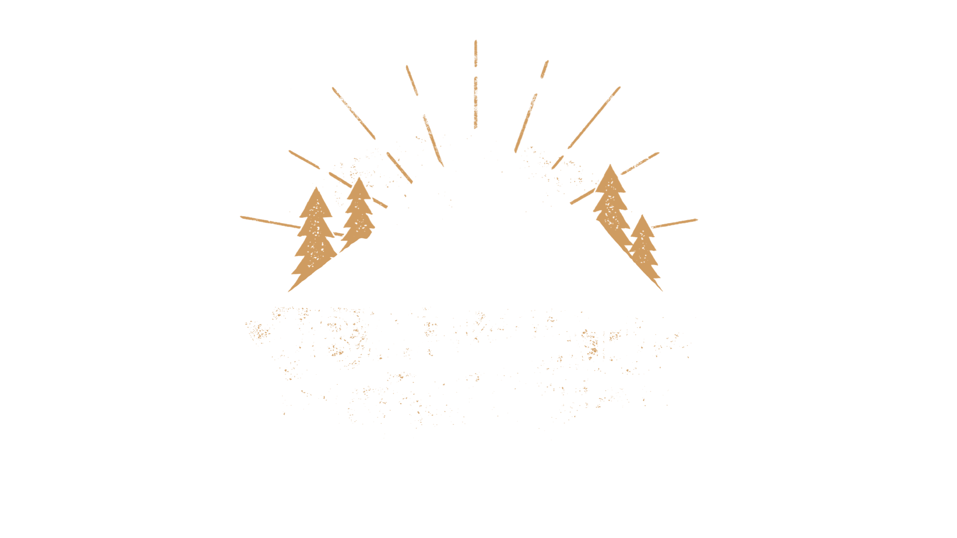 Barktail Logo